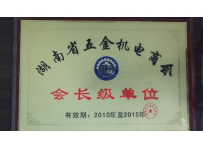 上海会长级单位荣誉证书